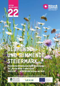 Blühende und summende Steiermark: Aktion Wildblumen