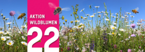 Blühen und Summen Steiermark: Aktion Wildblumen