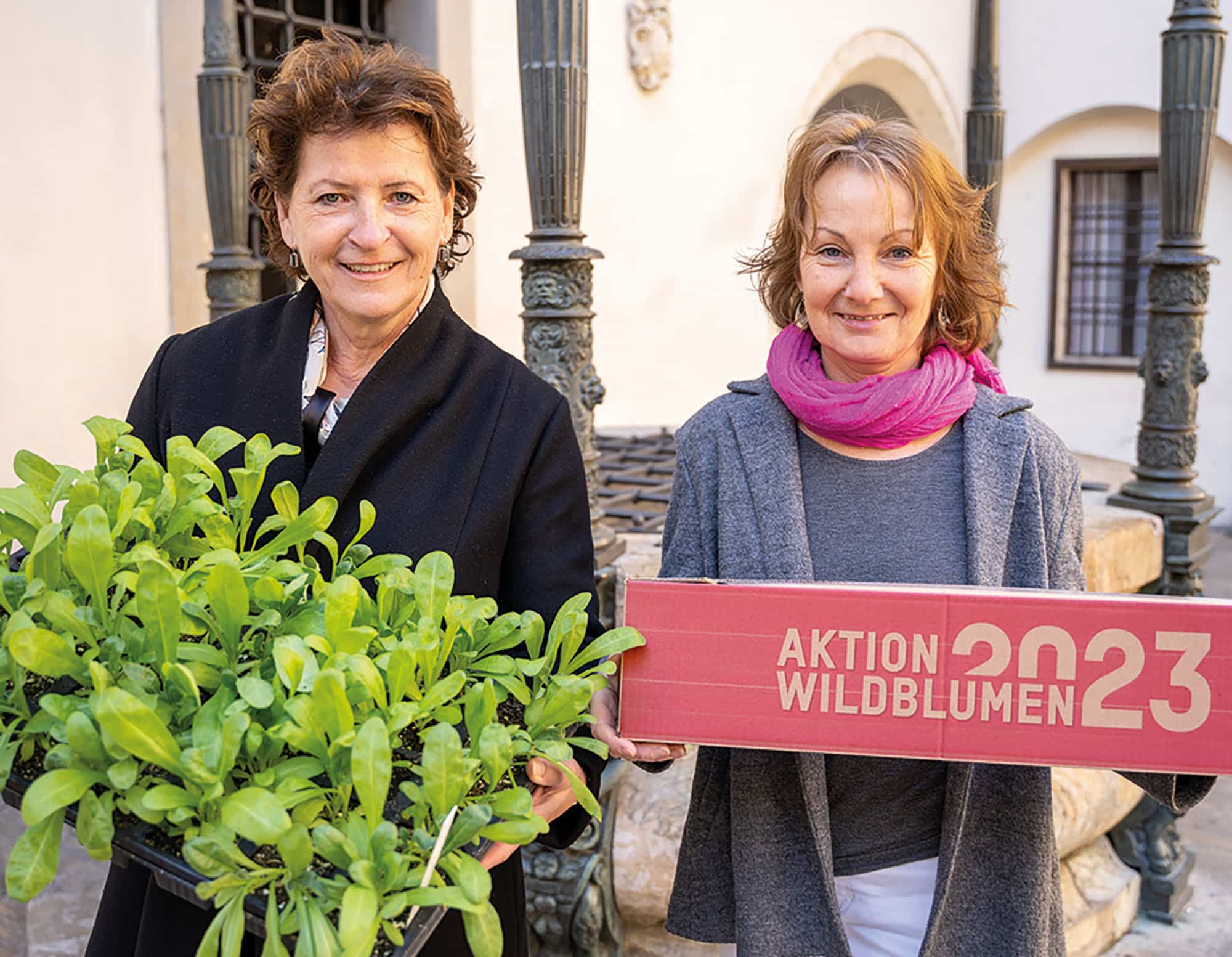 Umweltlandesrätin Ursula Lackner Aktion Wildblumen