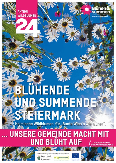 Aktion Wildblumen 2024 in der Steiermark